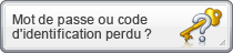 Ikiryo : les rumeurs enflent sur son arrivée en Eorzéa! - Page 5 BtRemindPassword